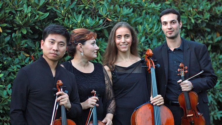 noah_quartett_2